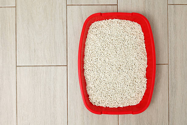 istock Cat litter box with filler on a light interior background. space for text 2250167479