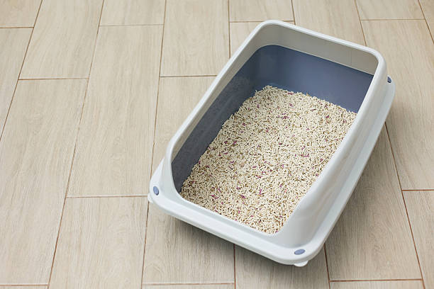 istock Cat litter box with filler on a light interior background. space for text 2250167548