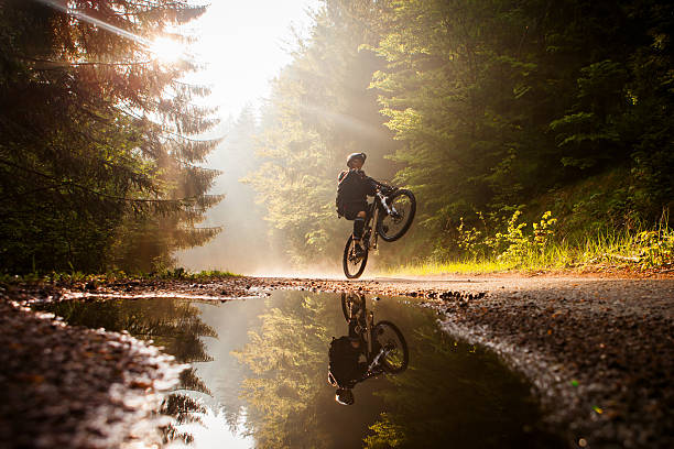 Backlit view of mountain biker riding on back tire through puddle in forest