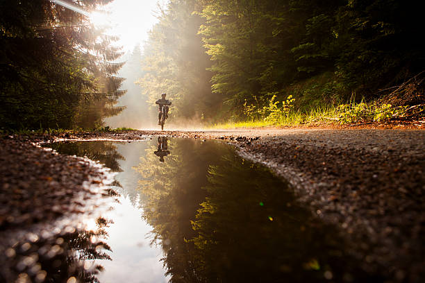 Backlit view of mountain biker riding on back tire through puddle in forest