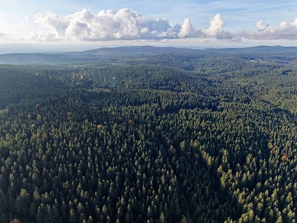 istock Distant Ridge And Verdant Wilderness, Unending Wild Woods Reaching Toward Faroff Ridge Under Gentle Clouds 2250176245