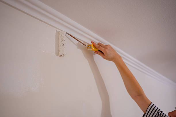istock Hand of a painter using a manual roller to cover the wall surface with a new layer of white color. Concept of DIY repairs and apartment maintenance work. 2250176764