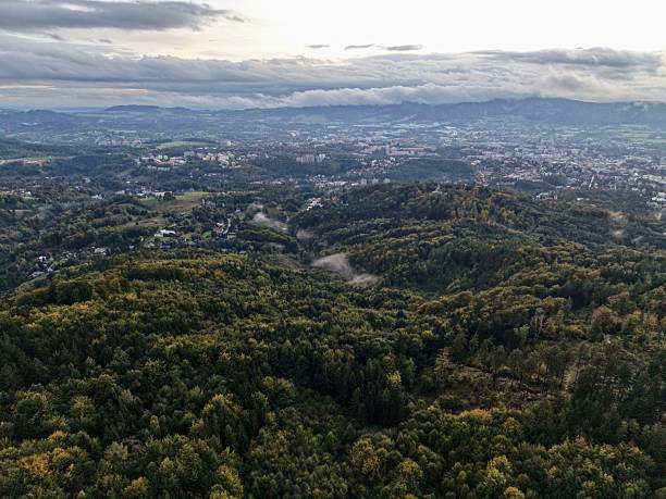istock Tree Canopy Overlooking Urban Area, Lush Forest Canopies Stretching Above Sprawling Urban Landscapes 2250177331