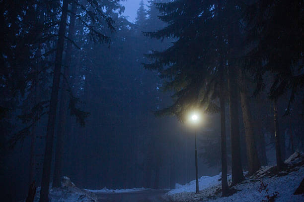istock Lamppost illuminating foggy winter forest path at night 2250180012