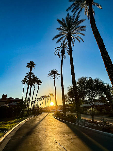 istock Palm Desert, California, sunrise 2250183341