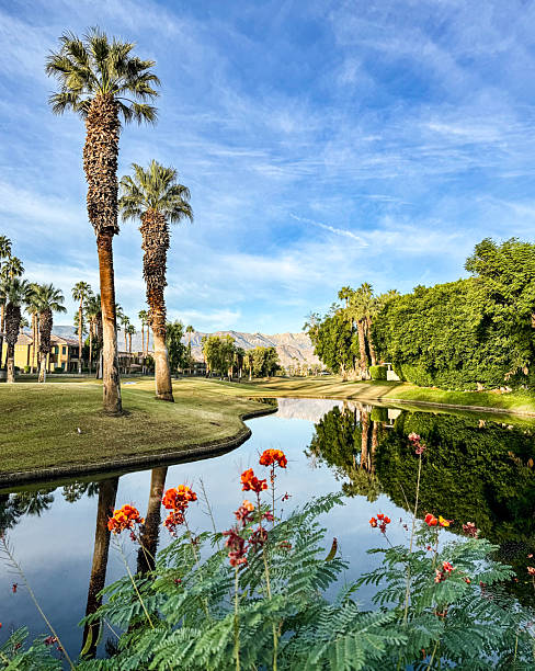 istock Beautiful Palm Desert, California, landscape 2250184258