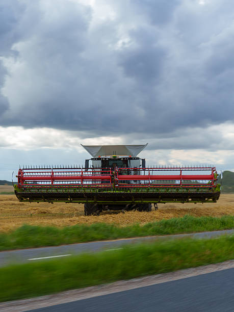 Freight Train on Rural Railway Track - Danish Transportation Infrastructure