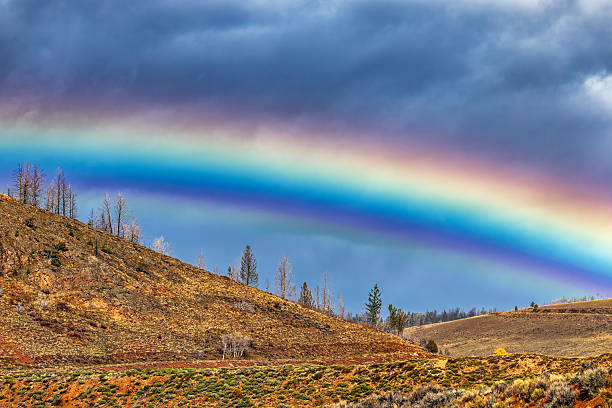 Rainbow over tundra in Alaska after a late fall storm. Denali N.P., Alaska