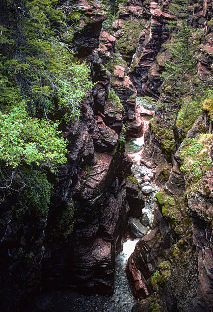 Waterton Lakes National Park - Narrow canyon with stream cascading deep inside - 1989. Scanned from Kodachrome 64 slide.