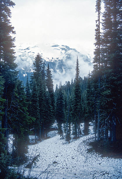 Mount Rainier NP - Mt. Rainier, Clouds & Snow Vertical - 1989