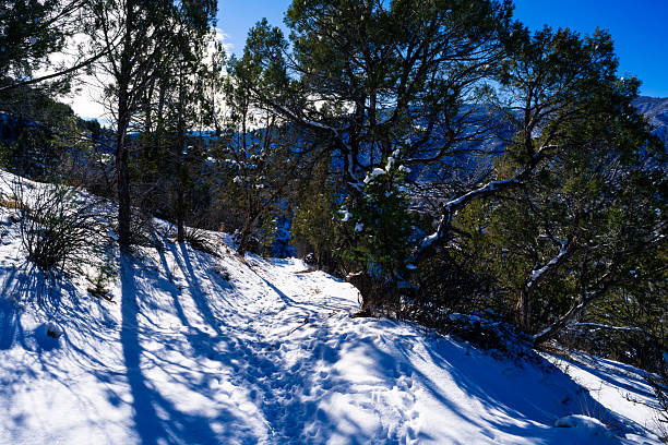 Popular Glenwood Springs hiking trail in early winter with fresh snow.