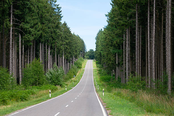 istock Road through forest, evergreen conifer trees, travel, transportation and ecosystem environment, greenhouse emissions 2250194052