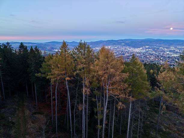 istock Nighttime Cityscape, Aerial Perspective Capturing Moonlit Urban Area Surrounded By Towering Trees 2250210895