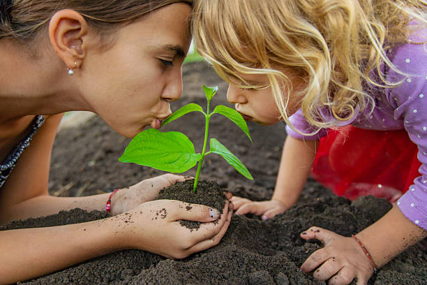 Child holding soil and plant in hands. Selective focus. nature.