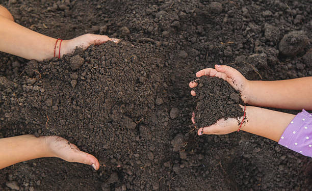 istock A child holds soil in his hands. Selective focus. 2250211939