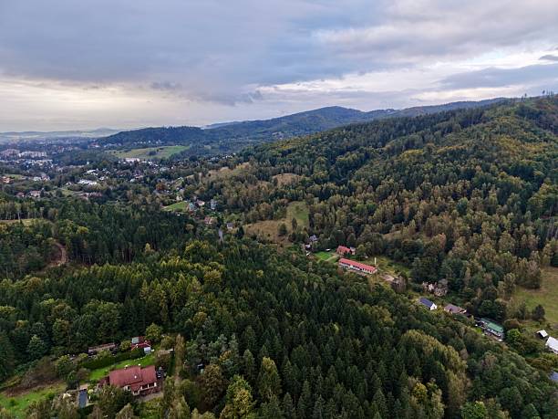istock Tranquil Rural Locality Embedded Within Thick Woods Featuring Quaint Houses And Scenic Meadows 2250212430