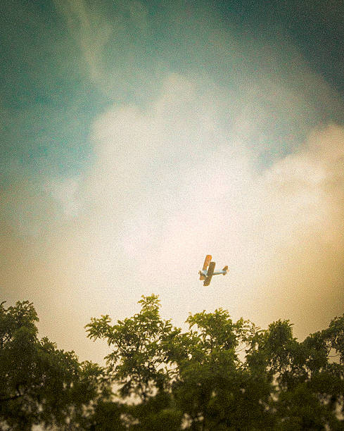 Airplane flying over trees on a partly cloudy day