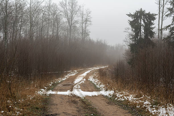 istock Foggy winter forest trail winding through bare birch and pine trees, with light snow dusting the dirt path and underbrush. Serene, atmospheric scene evoking quiet wilderness and seasonal transitio 2250213757