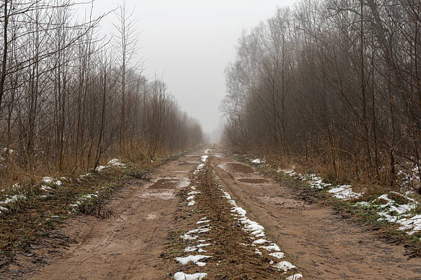 istock Snowy forest road lined with slender trees, winding through misty underbrush with light frost and mud patches. Atmospheric late autumn or early winter scene evoking solitude and wilderness 2250213814