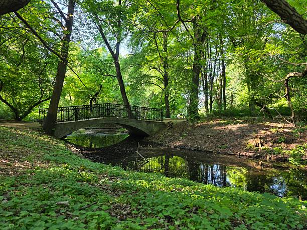 istock Bridge in a green forest park 2250216269