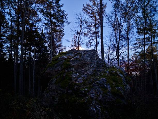Twilight Mossy Rock Summit Under Trees, Cinematic Blue Sky And Silhouetted Pines Framing Rugged Granite