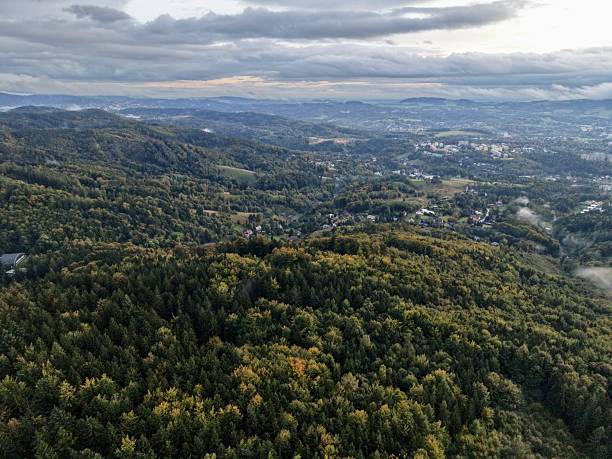 istock Dense Forest Area Featuring Winding Pathways, Expansive Woodland With Meandering Roads Under Cloudy Skies 2250217559