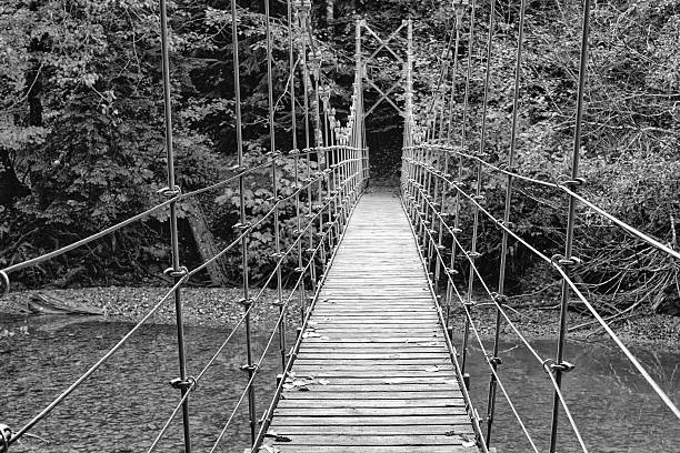 A narrow, flexible bridge crosses the Ohanapecosh River in Mt. Rainier National Park
