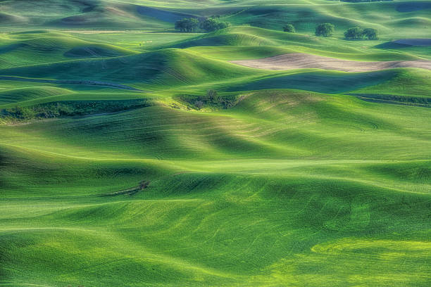 istock Agriculture beauty in Eastern Washington 2250221171