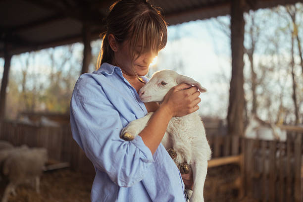 A female farmer shares a tender moment, warmly hugging a small, soft lamb