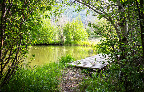 Beautiful morning  at  Castle Lakes, Near Lake CitySan Juan Mountains ,Colorado