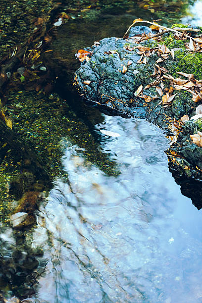 A serene close-up of rippling water reflecting surrounding trees, combined with a moss-covered rock and scattered autumn leaves. The natural textures and soft movement create a calming atmosphere. Suitable for themes such as nature, reflection, tranquility, zen, backgrounds, and environmental imagery.