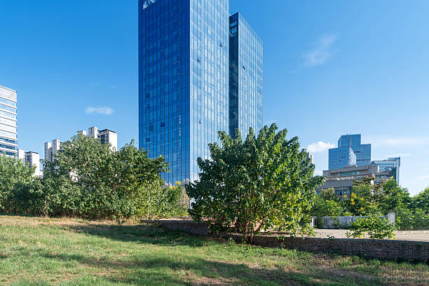 istock city park with modern building background in shanghai 2250249328