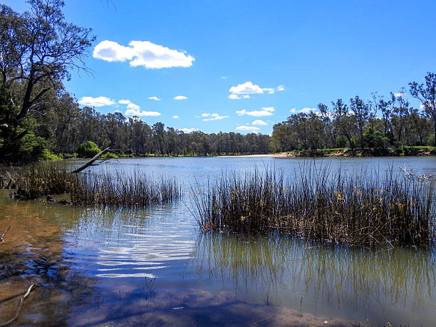 istock Waters edge views of the Murray River at Burramine 2250252987