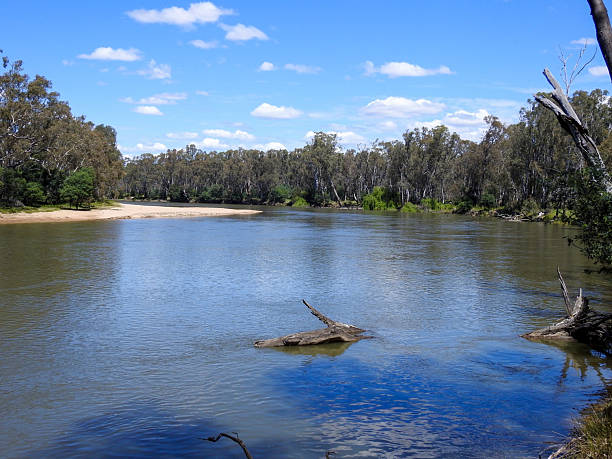 istock The Murray River flowing through bushland 2250253001
