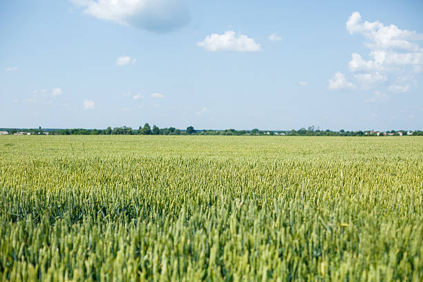 istock Beautiful nature on a bright sunny day 2250253478