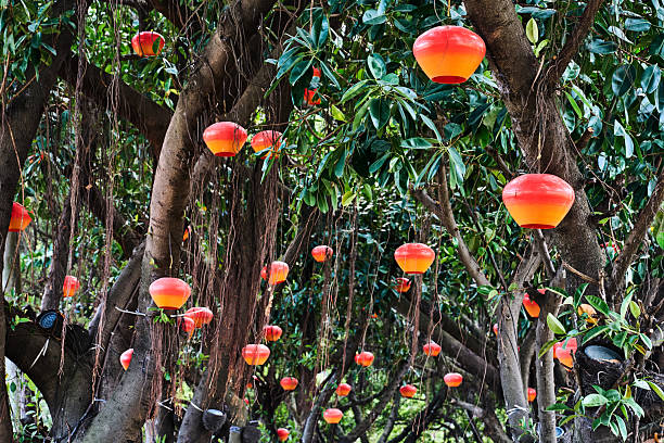 Asian Chinese New Year Lunar New Year