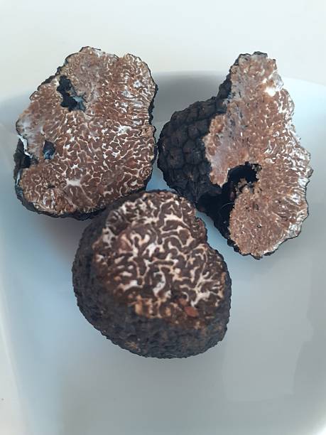 istock Black truffles with marbled interior on white background 2250257508