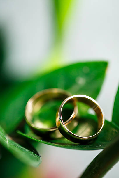 istock Gold wedding rings for newlyweds on wedding day 2250259246