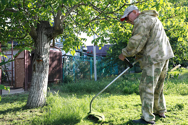istock Elderly man trimming grass in backyard with string trimmer 2250259617