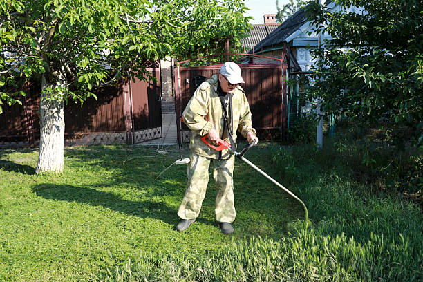 istock Senior man operating garden trimmer 2250259634