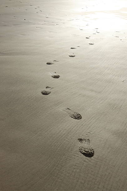 Foot prints in the sand on the beach