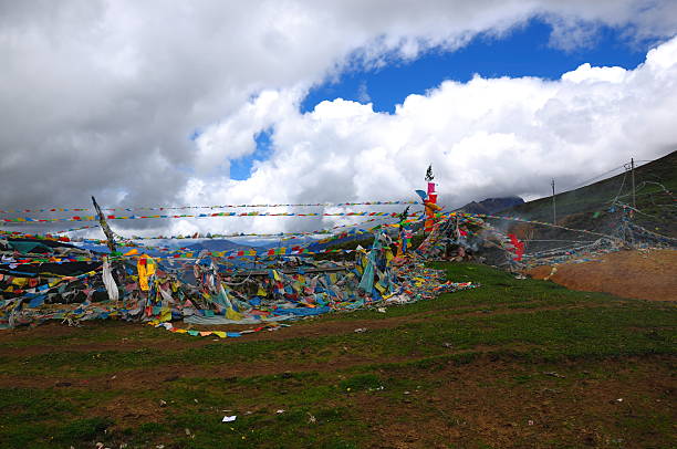 Colorful prayer flags flutter under a cloudy sky in an open outdoor landscape.
