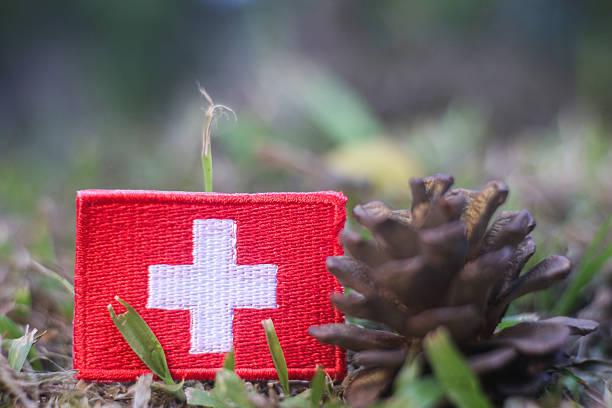 istock Swiss flag patch with pine cone on forest grass symbolizing Alpine ecology, growth, and sustainable environmental values. 2250268610