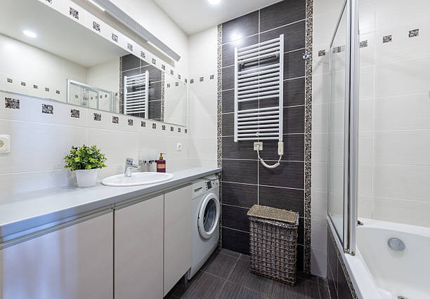 istock Modern Bathroom Interior with Bathtub, Sink, Washing Machine, and Decorative Elements 2250268791