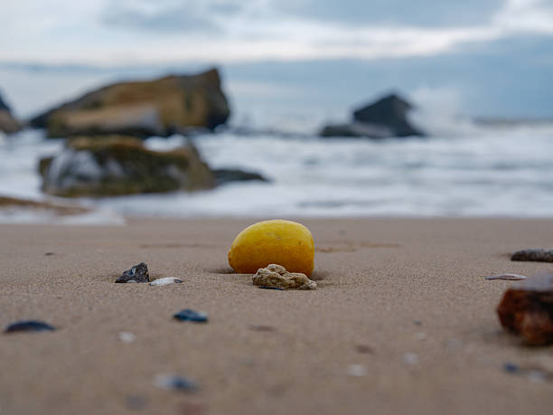 istock Yellow Lemon on Sand Beach Close Up 2250275820