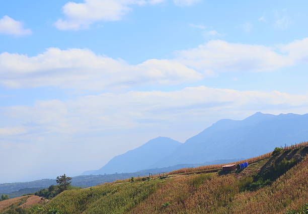 Mountain landscape on a clear day with white clouds floating over grasslands and cornfields on a hill.