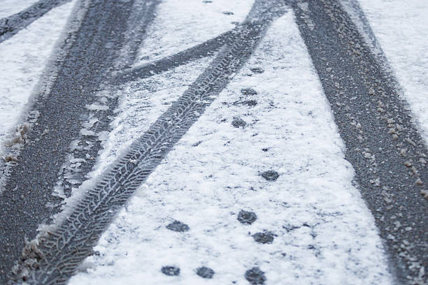 Tire marks and small animal footprints on a snow-covered road, showing winter conditions and textured patterns on the frozen surface