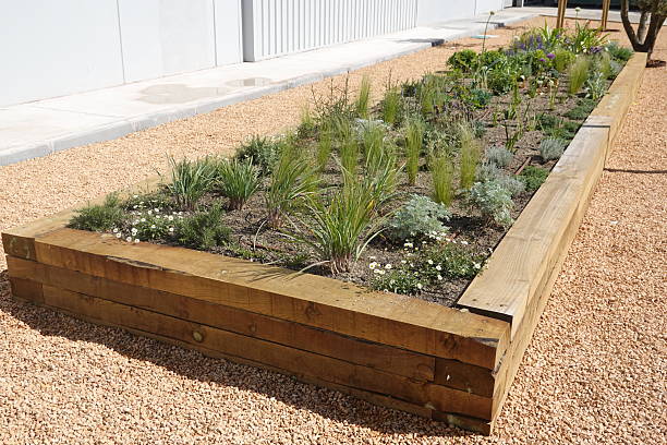 istock Raised garden bed providing lush greenery in modern landscape design 2250281840