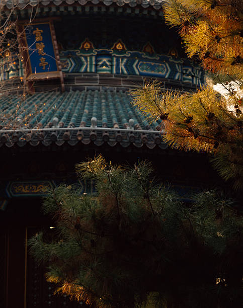 istock Forbidden city Beijing China 2250282610