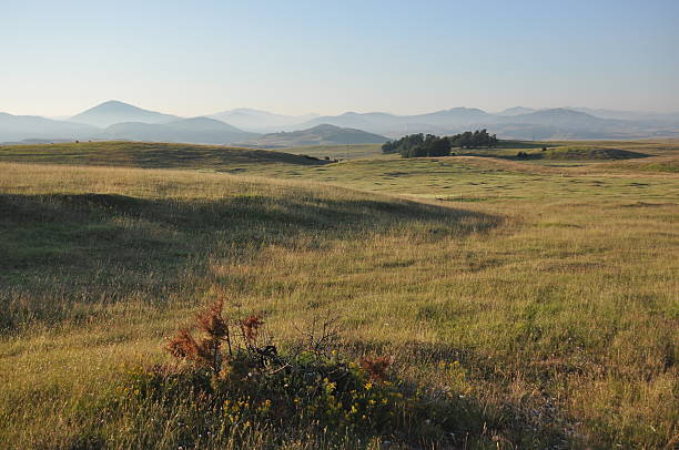 istock Vast green fields stretch under a clear blue sky in the early morning light with distant mountains in the background 2250283368